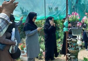 توان افزایی و توسعه اشتغال زنان روستایی و عشایری در استان بوشهر