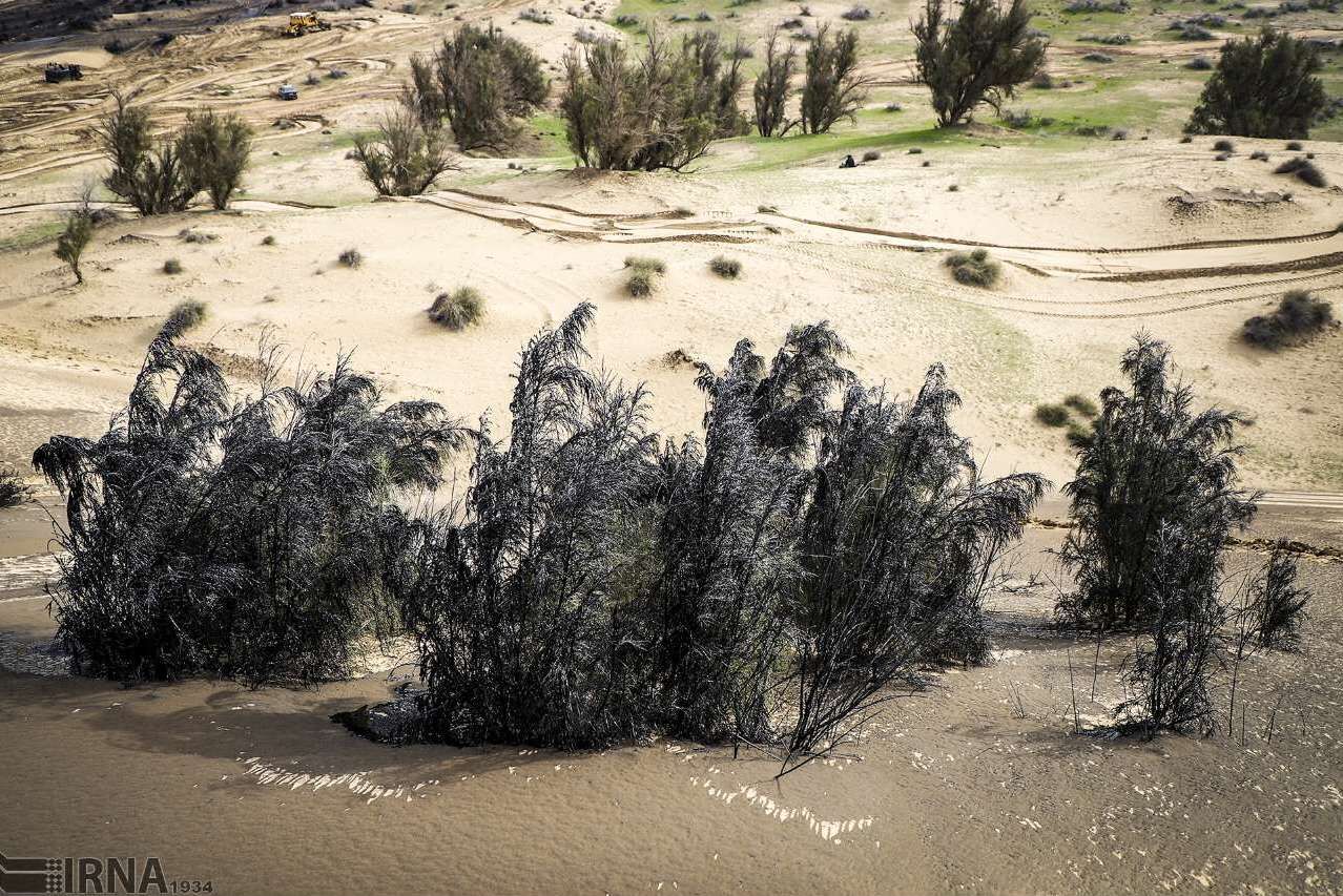 ۲۲۹۸ هکتار زمین غیر ملی در بوشهر تثبیت شد/ نظارت بر ۷۱۵ طرح