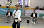 تکواندو بوشهر برای حضور دوباره در المپیک نیازمند همکاری دستگاه‌های اجرایی است