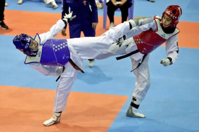 ۶۰ درصد ورزشکاران تکواندو استان بوشهر بانوان هستند