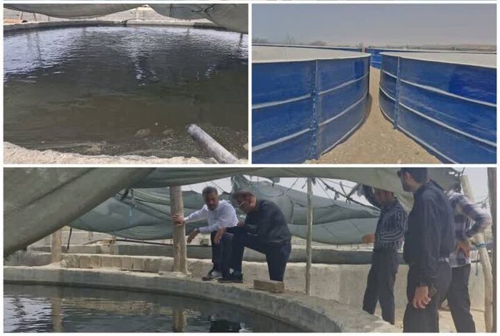 سرمایه‌گذاری ۷۰ میلیارد ریالی در استخرهای پیش‌ساخته پرورش ماهی «دیر»