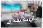 ۱۸ میلیون ایرانی زیر ذره‌بین دولت/ مردم به حذف یارانه واکنش نشان دادند