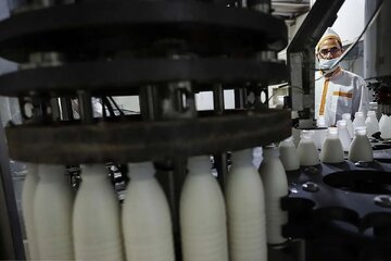 قیمت جدید شیر خام مشخص شد